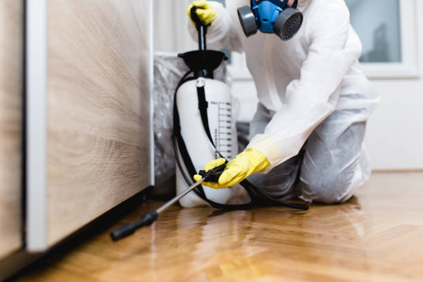 Best Pest Inspection Near Me  in Ferndale, MI