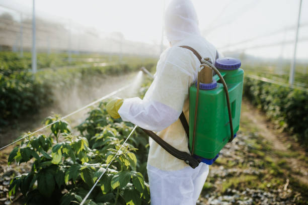  Ferndale, MI Pest Control Pros